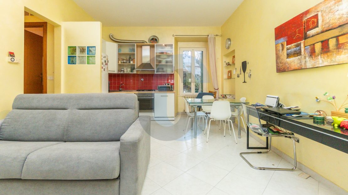 video image